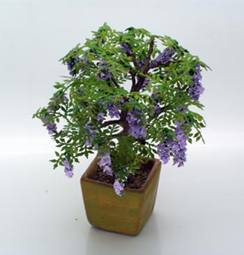 Specimen Dollshouse Miniature Wisteria Bush